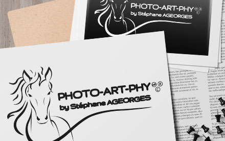 Création logo Photo-Art-Phy